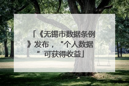《无锡市数据条例》发布，“个人数据”可获得收益