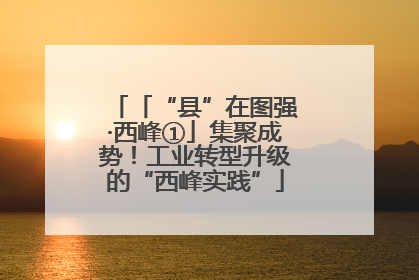 「“县”在图强·西峰①」集聚成势！工业转型升级的“西峰实践”