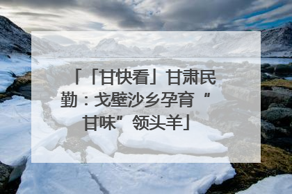 「甘快看」甘肃民勤：戈壁沙乡孕育“甘味”领头羊