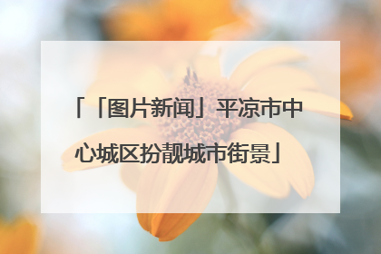 「图片新闻」平凉市中心城区扮靓城市街景