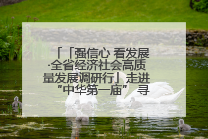 「强信心 看发展·全省经济社会高质量发展调研行」走进“中华第一庙” 寻根伏羲 祭祖龙城