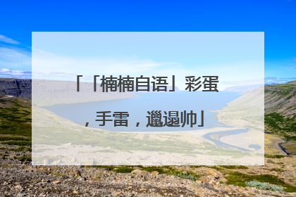 「楠楠自语」彩蛋，手雷，邋遢帅