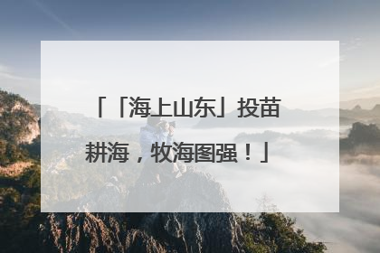 「海上山东」投苗耕海，牧海图强！
