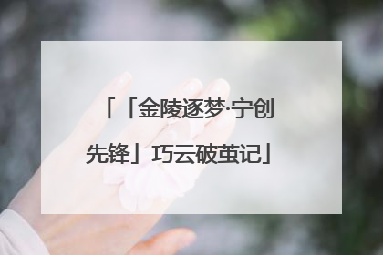 「金陵逐梦·宁创先锋」巧云破茧记