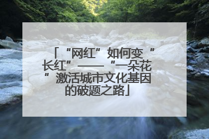 “网红”如何变“长红”——“一朵花”激活城市文化基因的破题之路