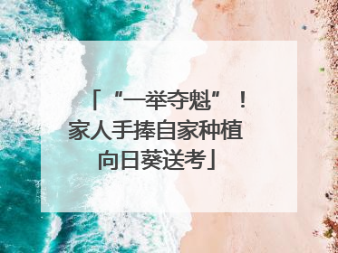 “一举夺魁”！家人手捧自家种植向日葵送考