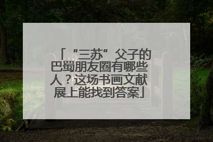 “三苏”父子的巴蜀朋友圈有哪些人？这场书画文献展上能找到答案