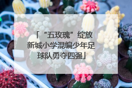 “五玫瑰”绽放 新城小学混编少年足球队勇夺四强