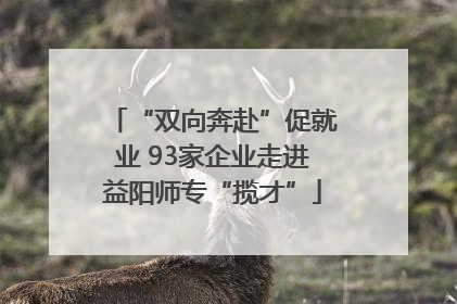 “双向奔赴”促就业 93家企业走进益阳师专“揽才”