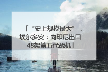 “史上规模最大”，埃尔多安：向印尼出口48架第五代战机