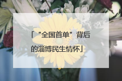 “全国首单”背后的淄博民生情怀