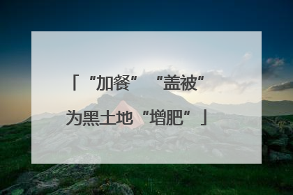 “加餐”“盖被” 为黑土地“增肥”