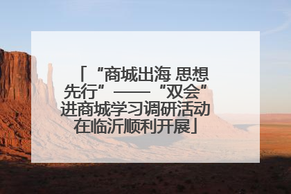 “商城出海 思想先行”——“双会”进商城学习调研活动在临沂顺利开展