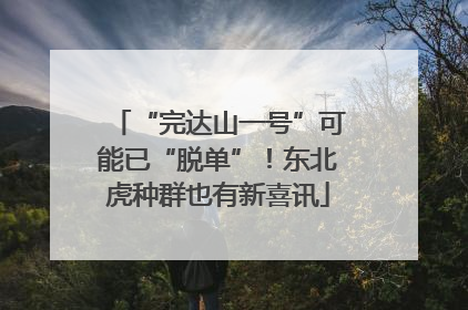 “完达山一号”可能已“脱单”！东北虎种群也有新喜讯