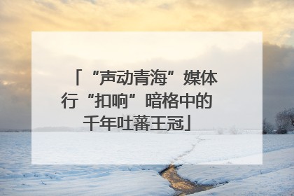 “声动青海”媒体行“扣响”暗格中的千年吐蕃王冠
