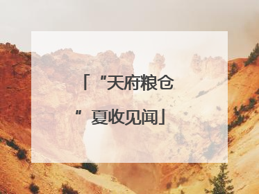 “天府粮仓”夏收见闻