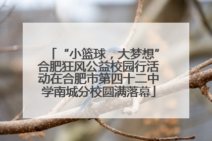 “小篮球，大梦想”合肥狂风公益校园行活动在合肥市第四十二中学南城分校圆满落幕