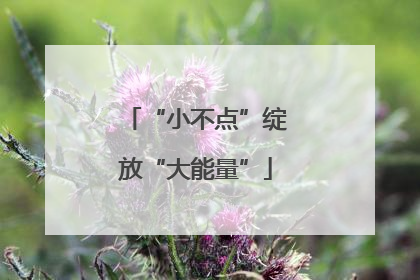 “小不点”绽放“大能量”
