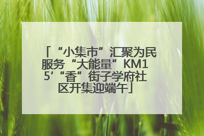 “小集市”汇聚为民服务“大能量”KM15′“香”街子学府社区开集迎端午