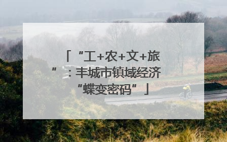 “工+农+文+旅”：丰城市镇域经济“蝶变密码”
