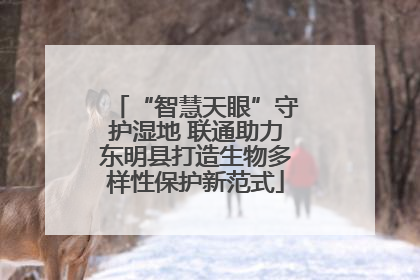 “智慧天眼”守护湿地 联通助力东明县打造生物多样性保护新范式