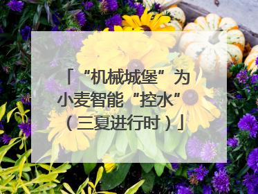“机械城堡”为小麦智能“控水”（三夏进行时）