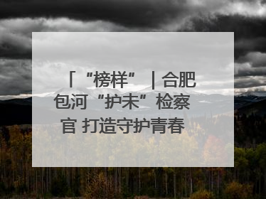 “榜样”｜合肥包河“护未”检察官 打造守护青春成长的永恒灯塔