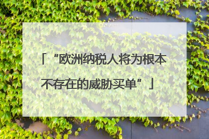 “欧洲纳税人将为根本不存在的威胁买单”
