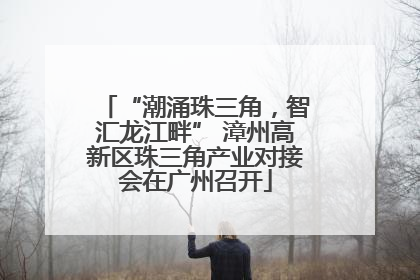 “潮涌珠三角，智汇龙江畔” 漳州高新区珠三角产业对接会在广州召开