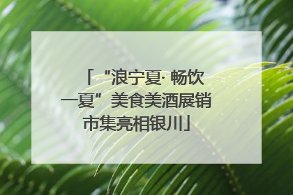 “浪宁夏· 畅饮一夏”美食美酒展销市集亮相银川