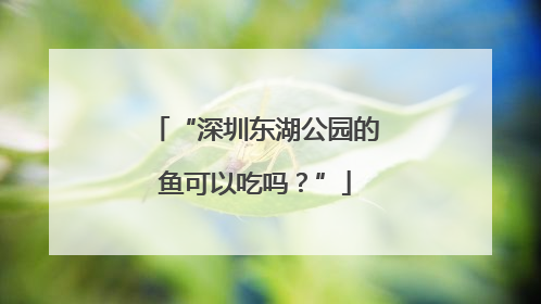 “深圳东湖公园的鱼可以吃吗？”