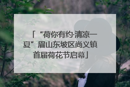 “荷你有约·清凉一夏”眉山东坡区尚义镇首届荷花节启幕