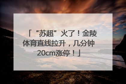 “苏超”火了！金陵体育直线拉升，几分钟20cm涨停！