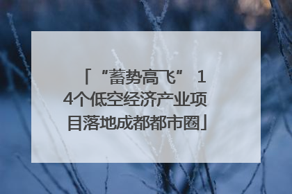 “蓄势高飞” 14个低空经济产业项目落地成都都市圈