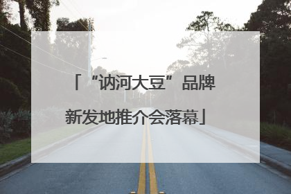 “讷河大豆”品牌新发地推介会落幕