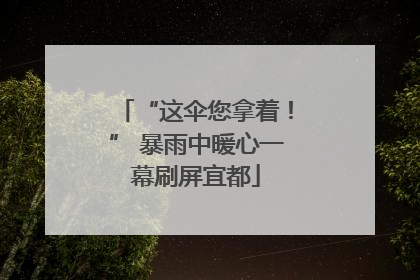 “这伞您拿着！” 暴雨中暖心一幕刷屏宜都