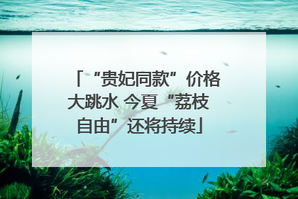 “贵妃同款”价格大跳水 今夏“荔枝自由”还将持续