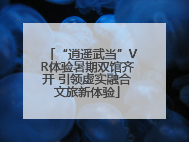 “逍遥武当”VR体验暑期双馆齐开 引领虚实融合文旅新体验