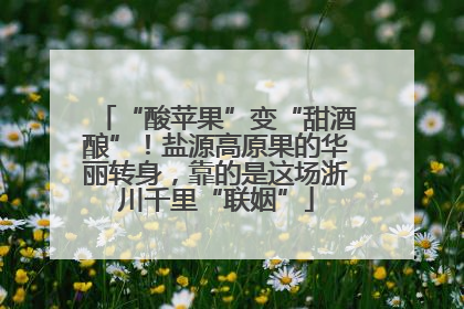 “酸苹果”变“甜酒酿”！盐源高原果的华丽转身，靠的是这场浙川千里“联姻”