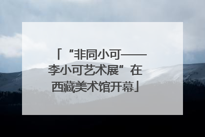 “非同小可——李小可艺术展”在西藏美术馆开幕