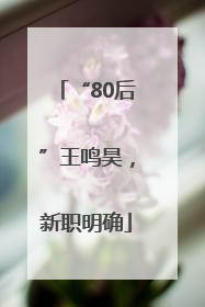 “80后”王鸣昊，新职明确