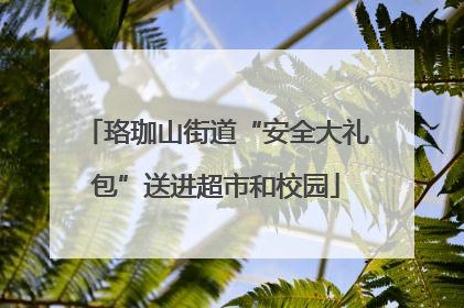 珞珈山街道“安全大礼包”送进超市和校园
