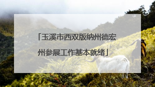 玉溪市西双版纳州德宏州参展工作基本就绪