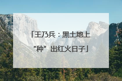 王乃兵：黑土地上“种”出红火日子