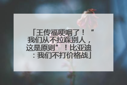 王传福哽咽了！“我们从不拉踩别人，这是原则”！比亚迪：我们不打价格战