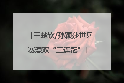 王楚钦/孙颖莎世乒赛混双“三连冠”