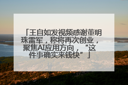 王自如发视频感谢董明珠雷军，称将再次创业，聚焦AI应用方向，“这件事确实来钱快”