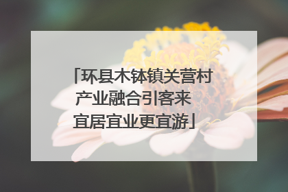 环县木钵镇关营村 产业融合引客来 宜居宜业更宜游