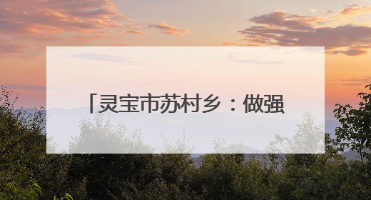 灵宝市苏村乡：做强做优特色农业产业