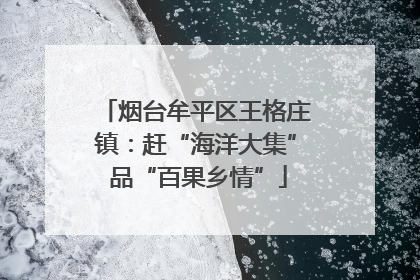 烟台牟平区王格庄镇：赶“海洋大集” 品“百果乡情”